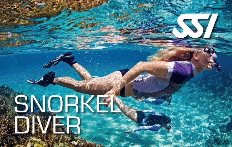 SSI Snorkel Diver Course | SSI Snorkel Diver | Snorkel Diver | Diving Course