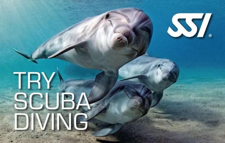 SSI Try Scuba Diving Course | SSI Try Scuba Diving | Try Scuba Diving | Basic Course | Diving Course
