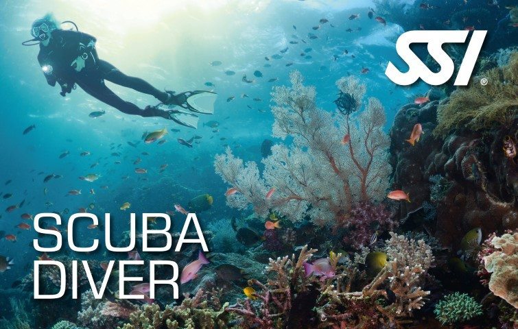 SSI Try Scuba Diving Course | SSI Scuba Diver | Scuba Diver | Diving Course