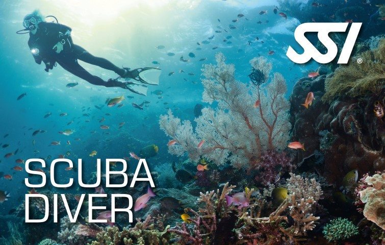 Scuba Diver Singapore Dive Courses Singapore Dive Singapore