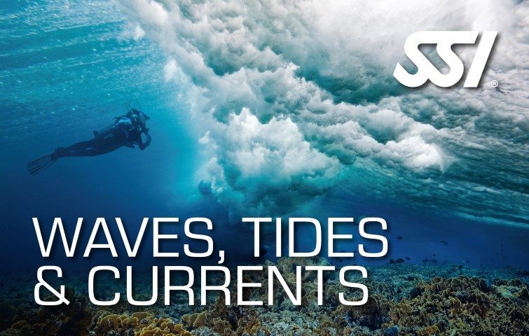 SSI Waves, Tides & Currents Course | SSI Waves, Tides & Currents | Waves, Tides & Currents | Basic Course