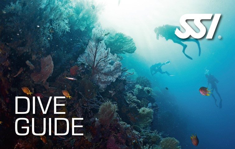SSI Dive Guide Course | SSI Dive Guide | Dive Guide | Diving Course