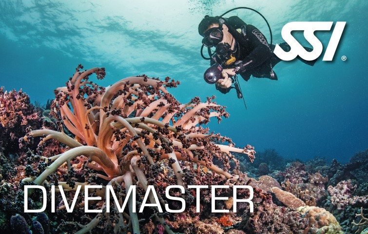 SSI Divemaster Course | SSI Divemaster | Divemaster | Diving Course