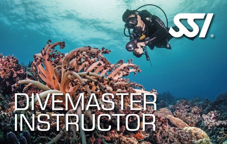 SSI Divemaster Instructor Course | SSI Divemaster Instructor| Divemaster Instructor | Diving Course