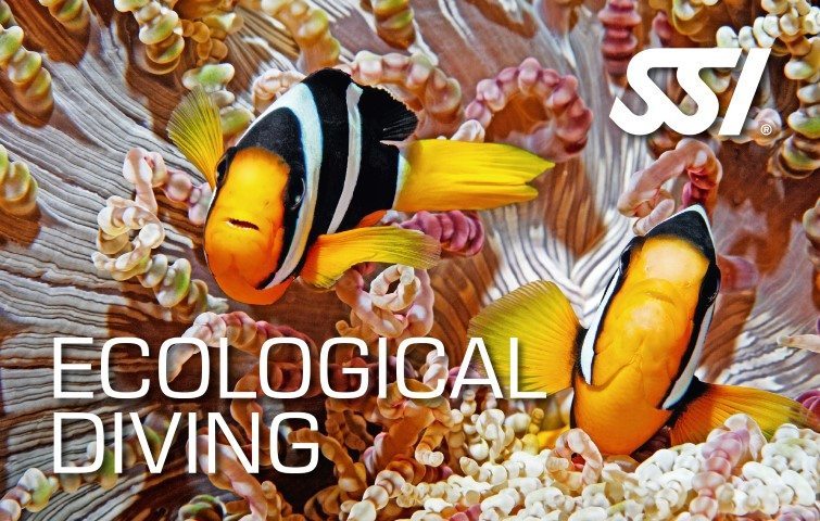 SSI Ecological Diving Course | SSI Ecological Diving | Ecological Diving | Diving Course