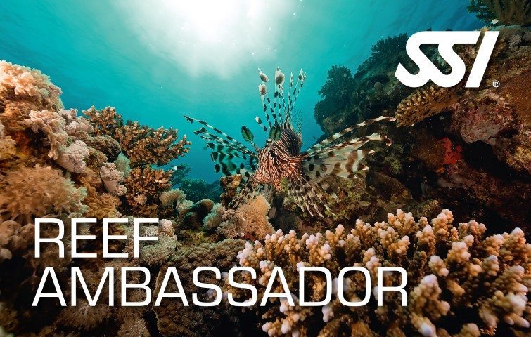 SSI Reef Ambassador Course | SSI Reef Ambassador | Reef Ambassador | Diving Course