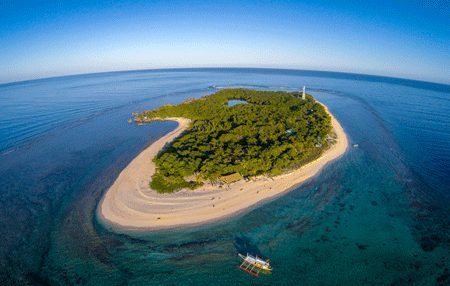 Apo Reef | Dive Travel Philippines