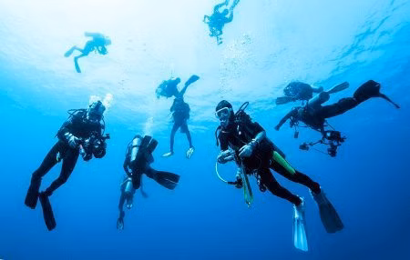 Open Water Instructor | Diving Courses