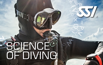 SSI Science of Diving | SSI Shark Ecology Course | SSI Science of Diving | Science of Diving | Diving Course