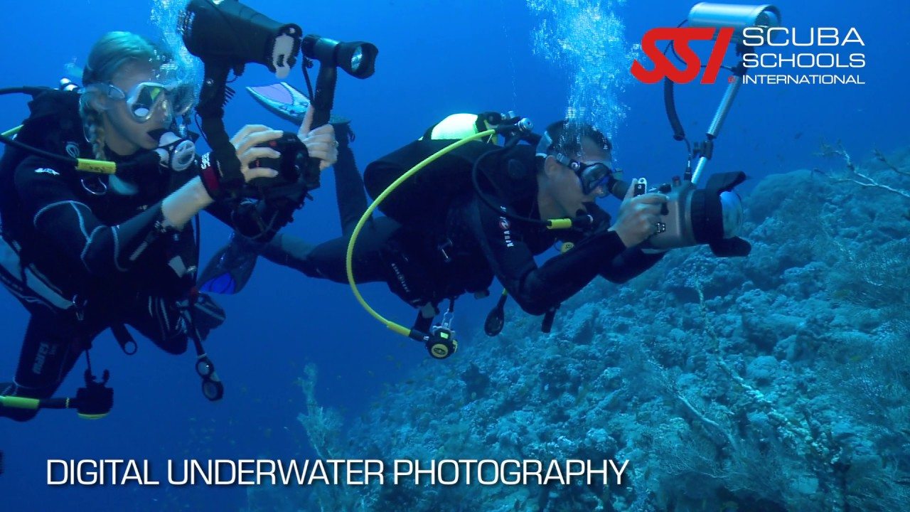 SSI Digital Underwater Photography Diving Courses