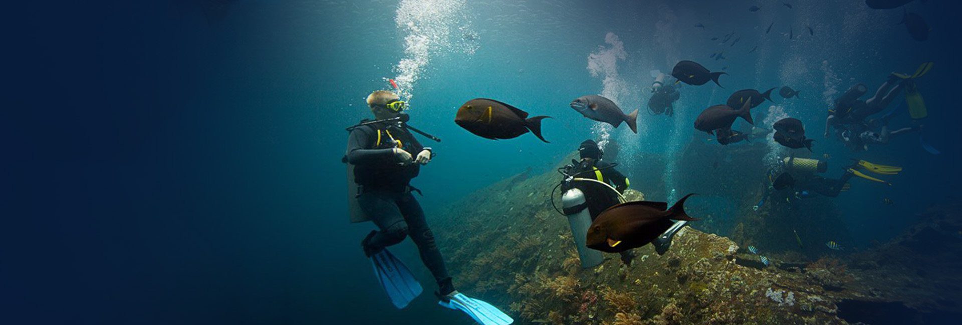 Dive Courses Singapore Scuba Diving Courses Singapore Dive Singapore