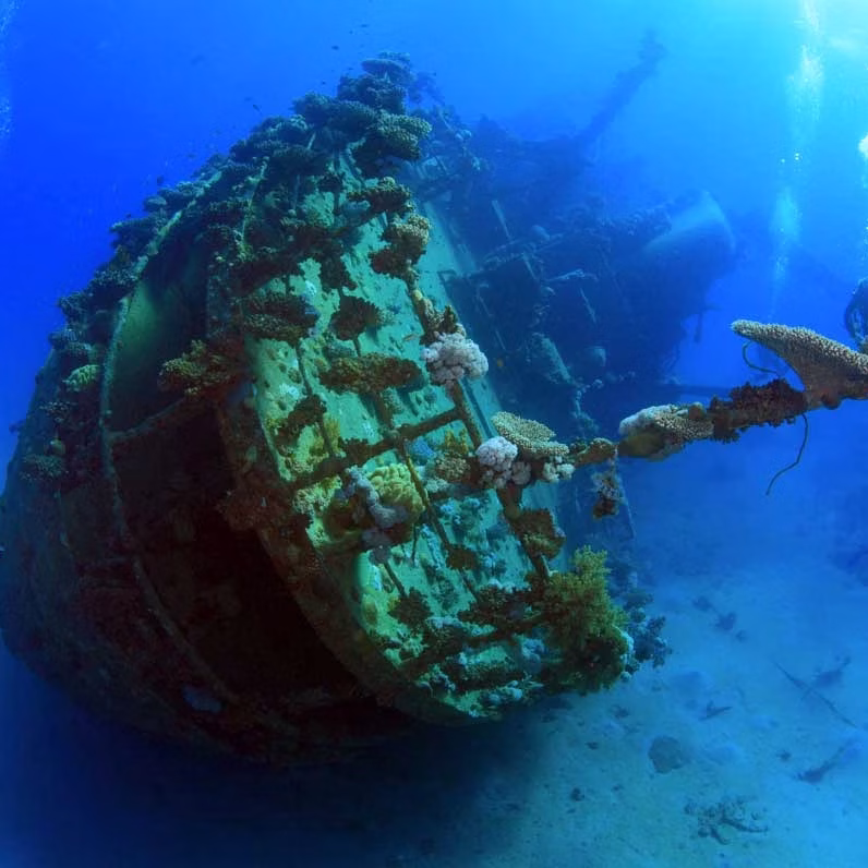 Dive Trips Singapore - Bali Diving - USS Liberty Shipwreck you can see while diving in bali